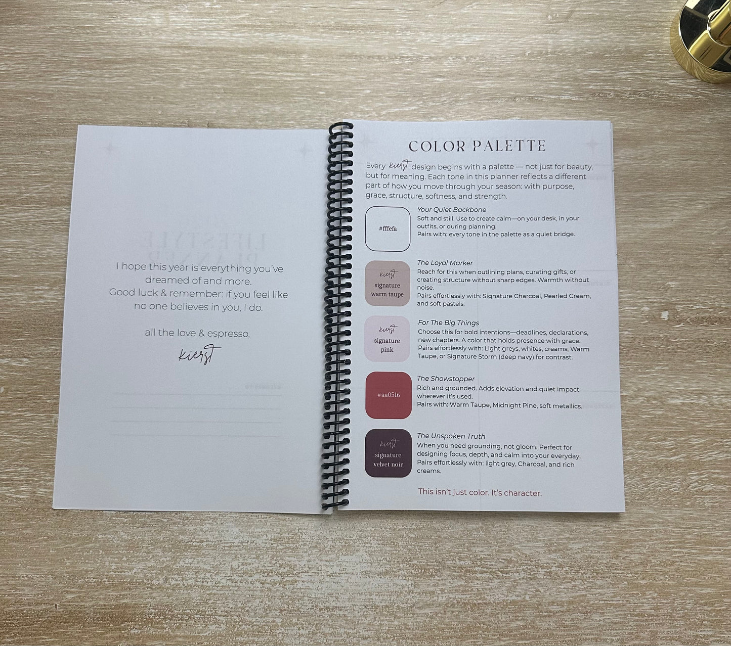 2026 Lifestyle Planner - Signature Pink and Velvet Noir Stripes