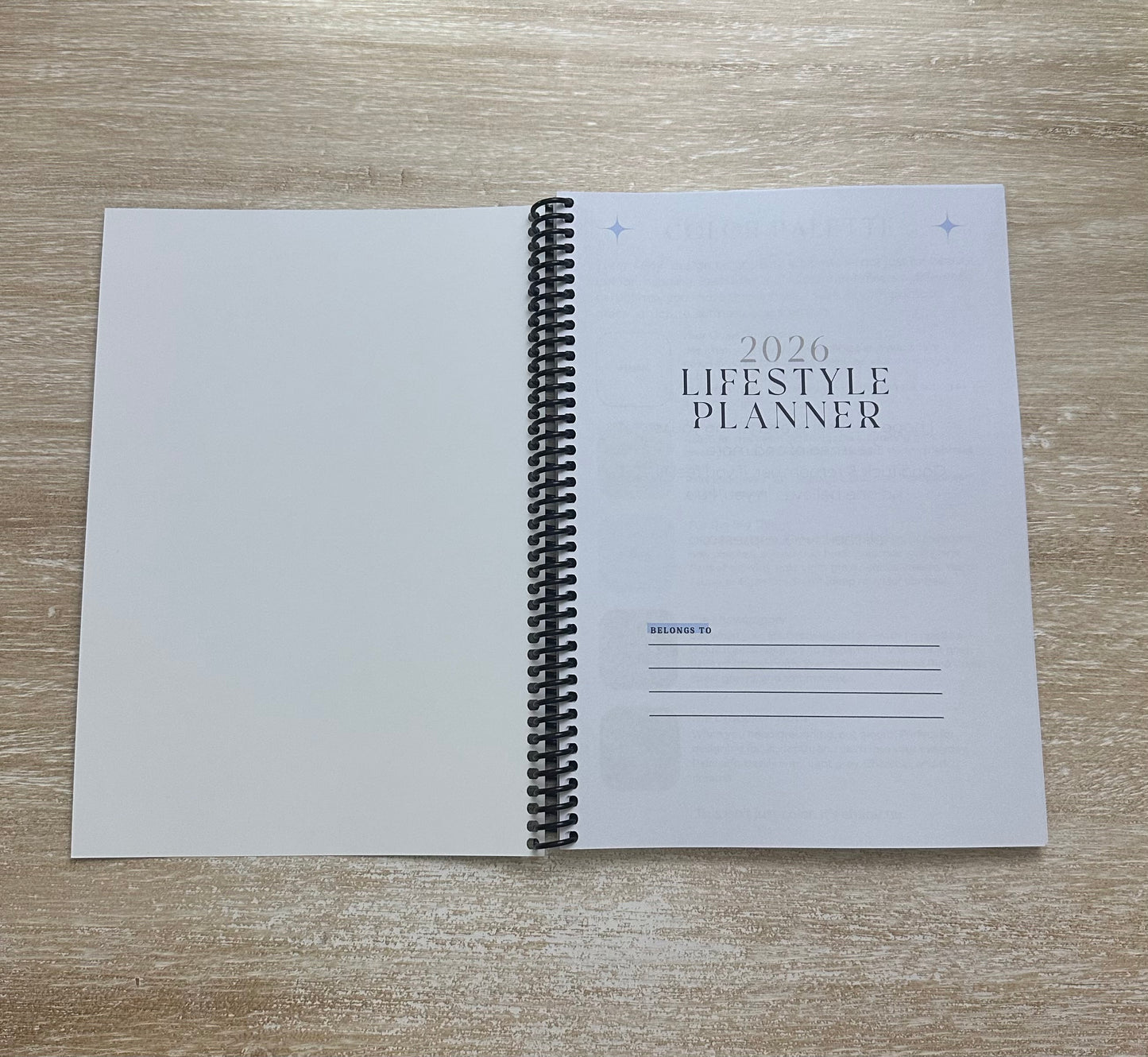 2026 Lifestyle Planner - Blue Marble