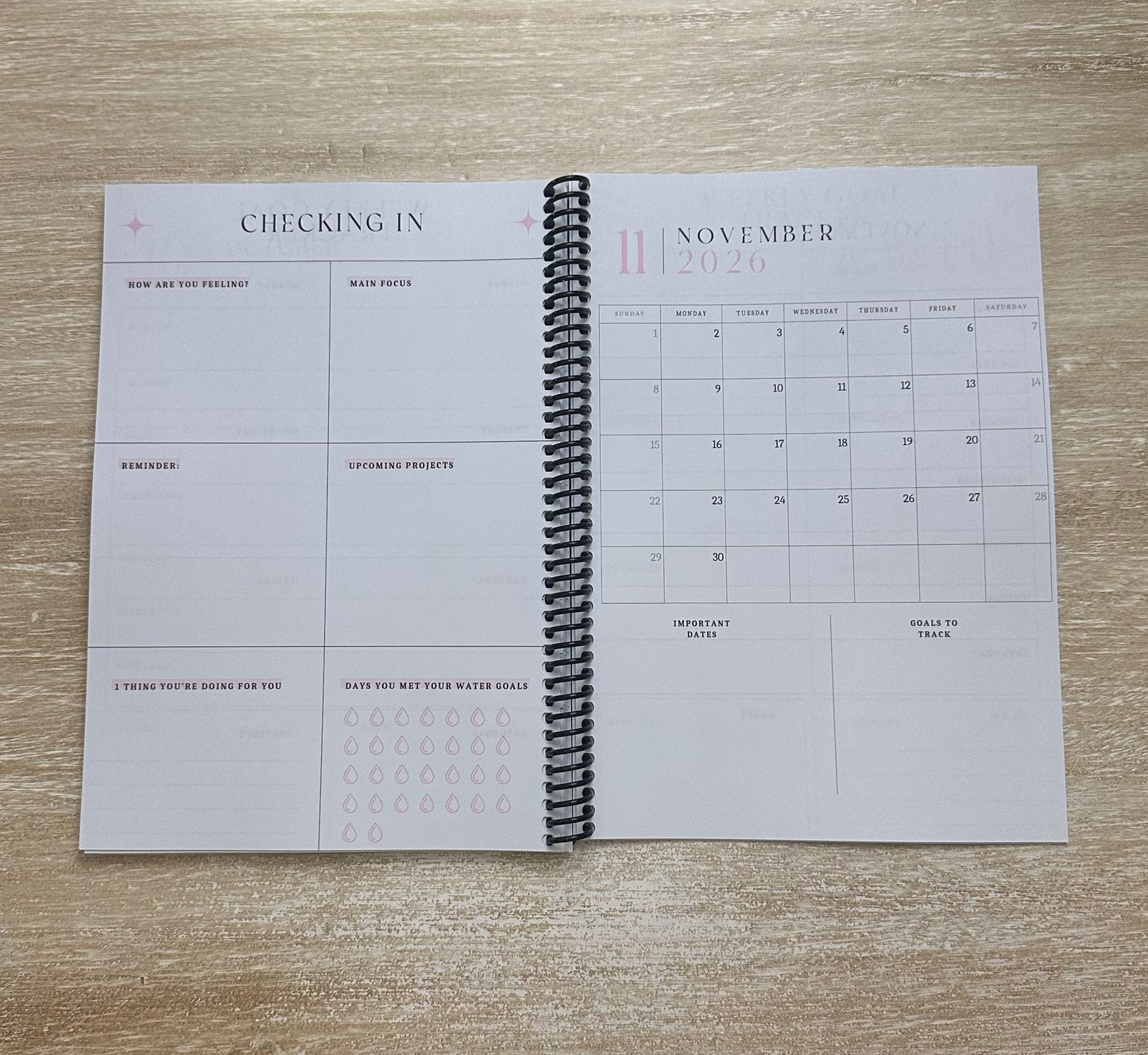 2026 Lifestyle Planner - Grey Snake