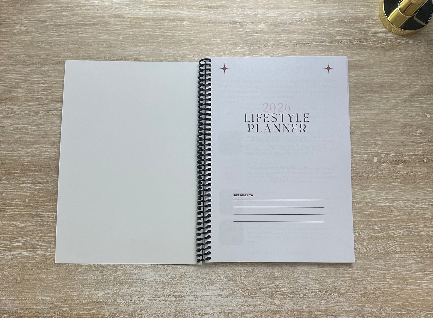 2026 Lifestyle Planner - Signature Pink and Velvet Noir Stripes