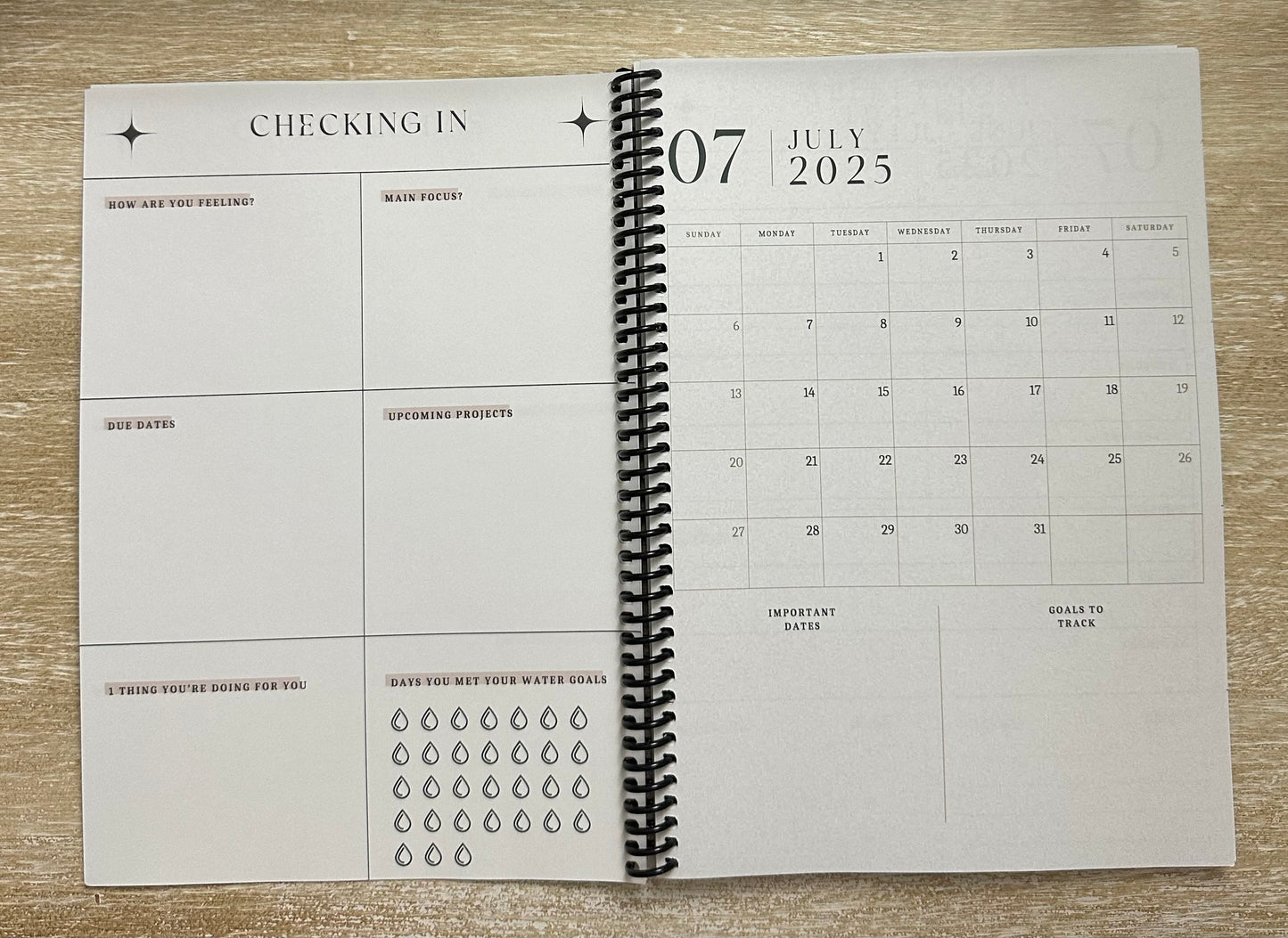 Academic Year Planner Martinis