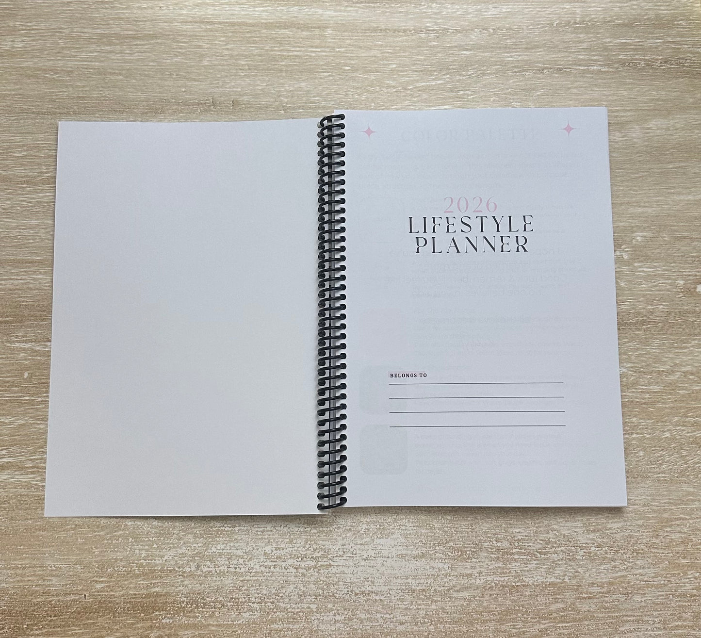 2026 Lifestyle Planner - Grey Snake