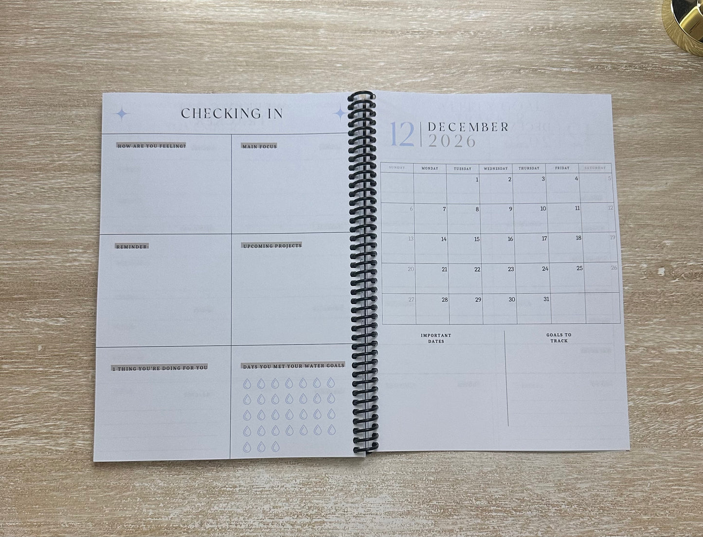 2026 Lifestyle Planner - Blue Marble