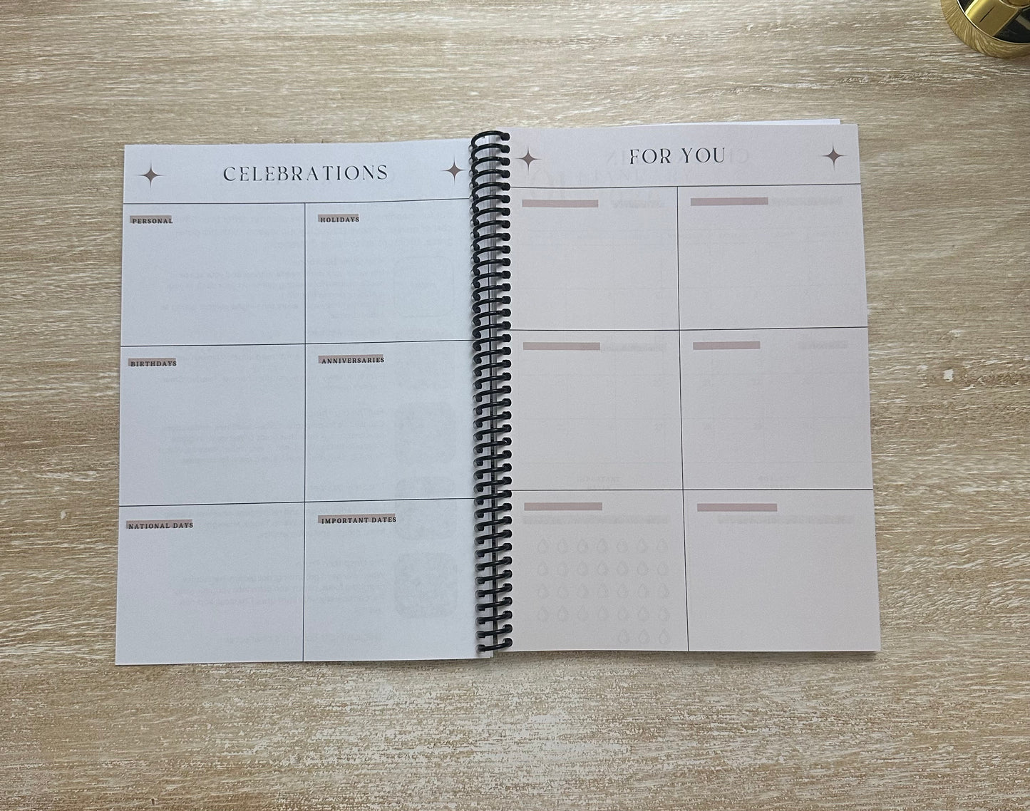 2026 Lifestyle Planner Ember Tortoise