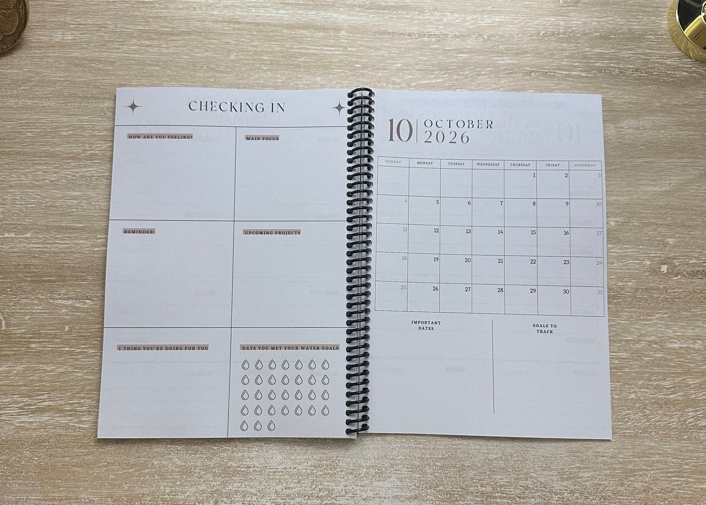 2026 Lifestyle Planner - Chocolate Silk