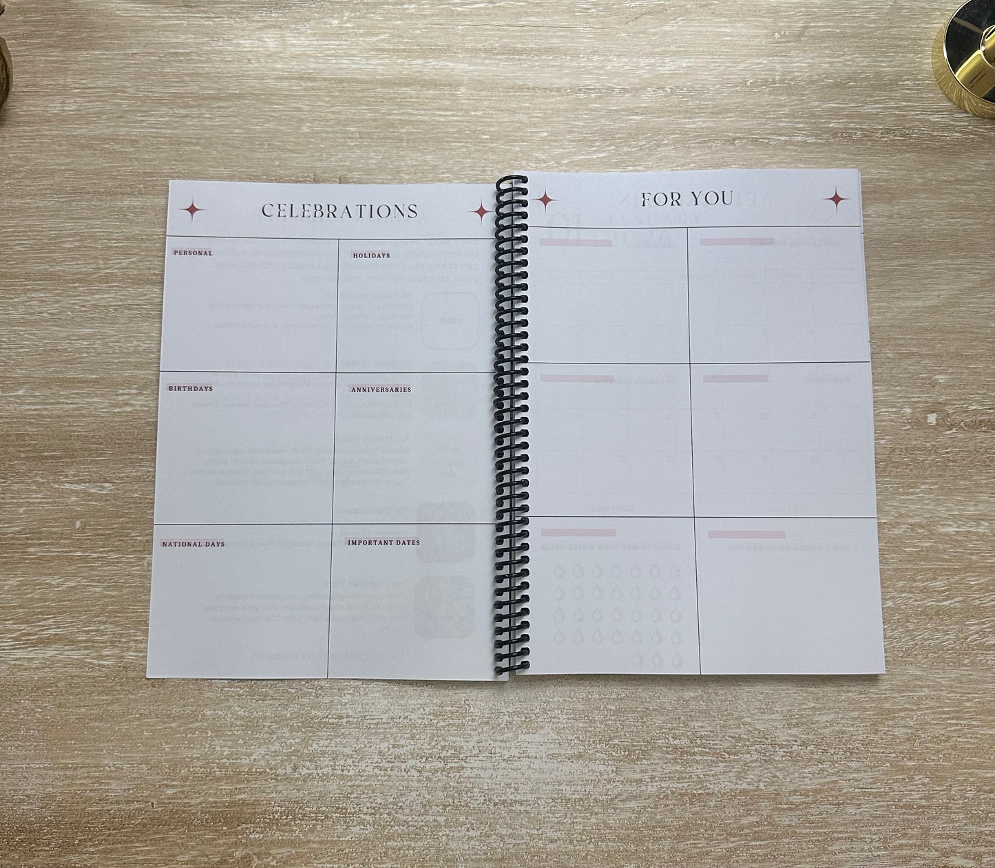 2026 Lifestyle Planner - Signature Pink and Velvet Noir Stripes