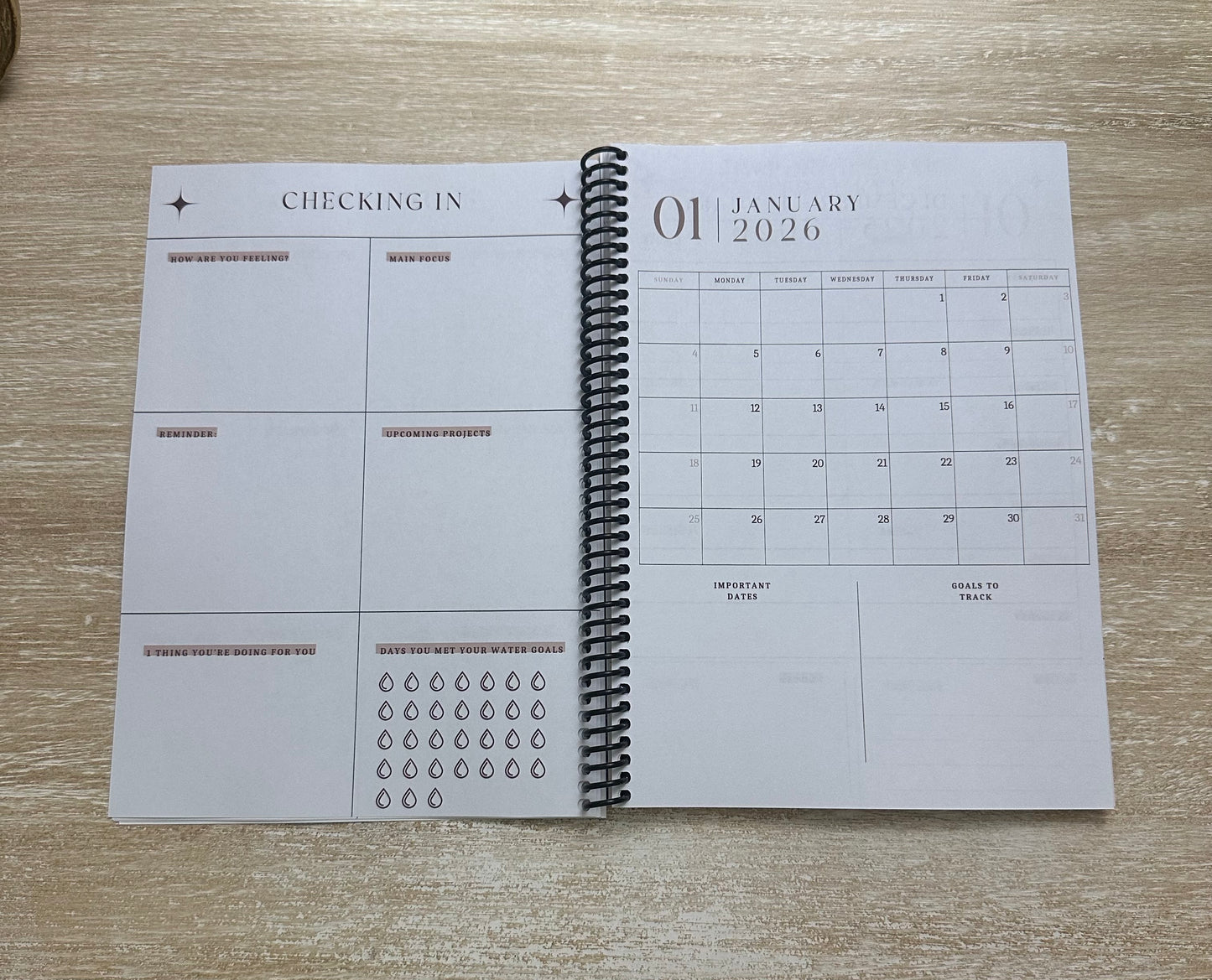 2026 Lifestyle Planner - Signature Velvet Noir Lattice