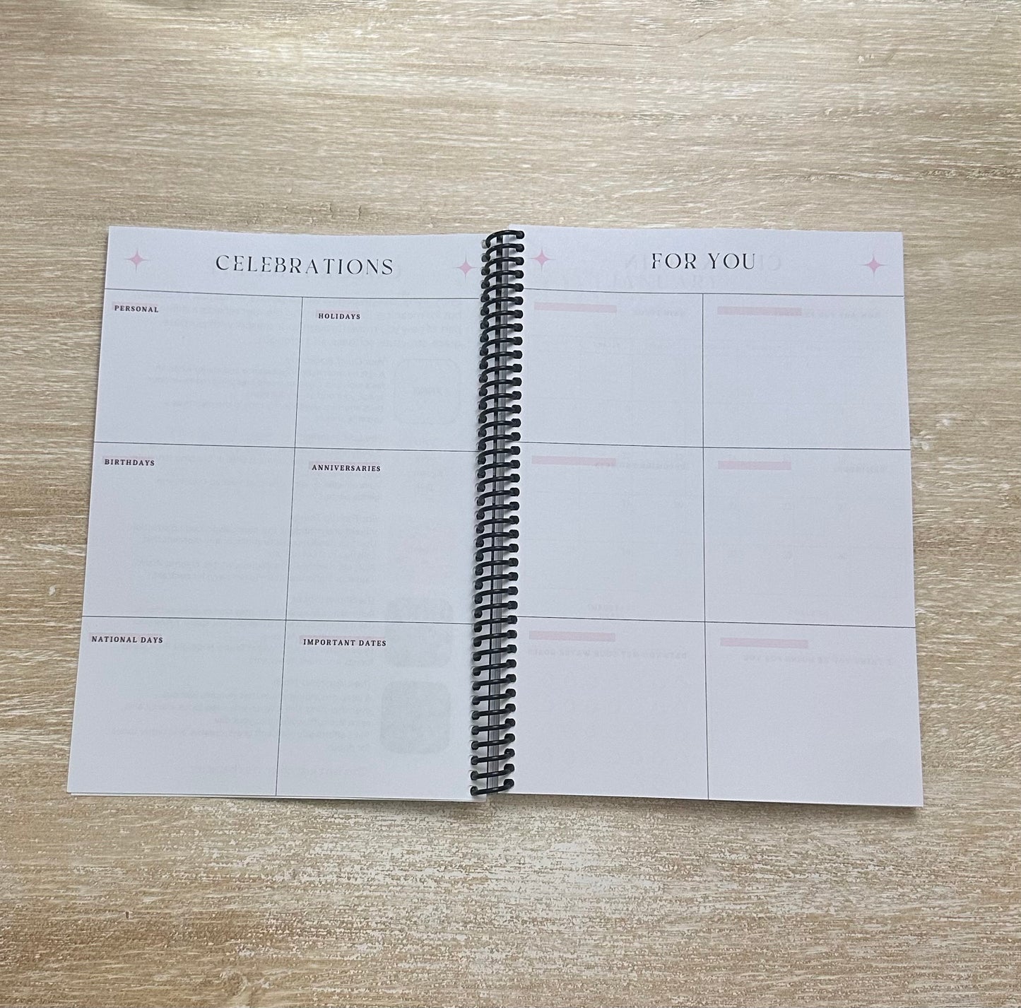 2026 Lifestyle Planner - Grey Snake