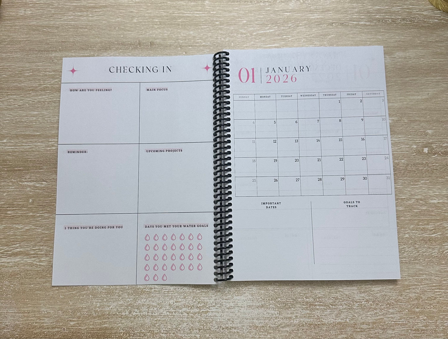 2026 Lifestyle Planner - Signature Pink and Cream Striped