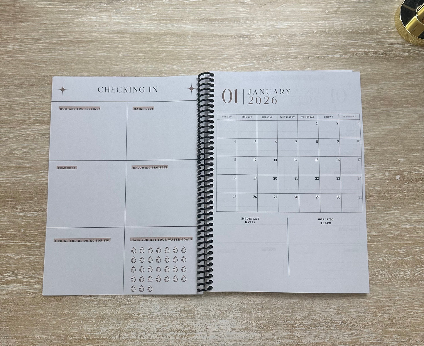 2026 Lifestyle Planner Ember Tortoise