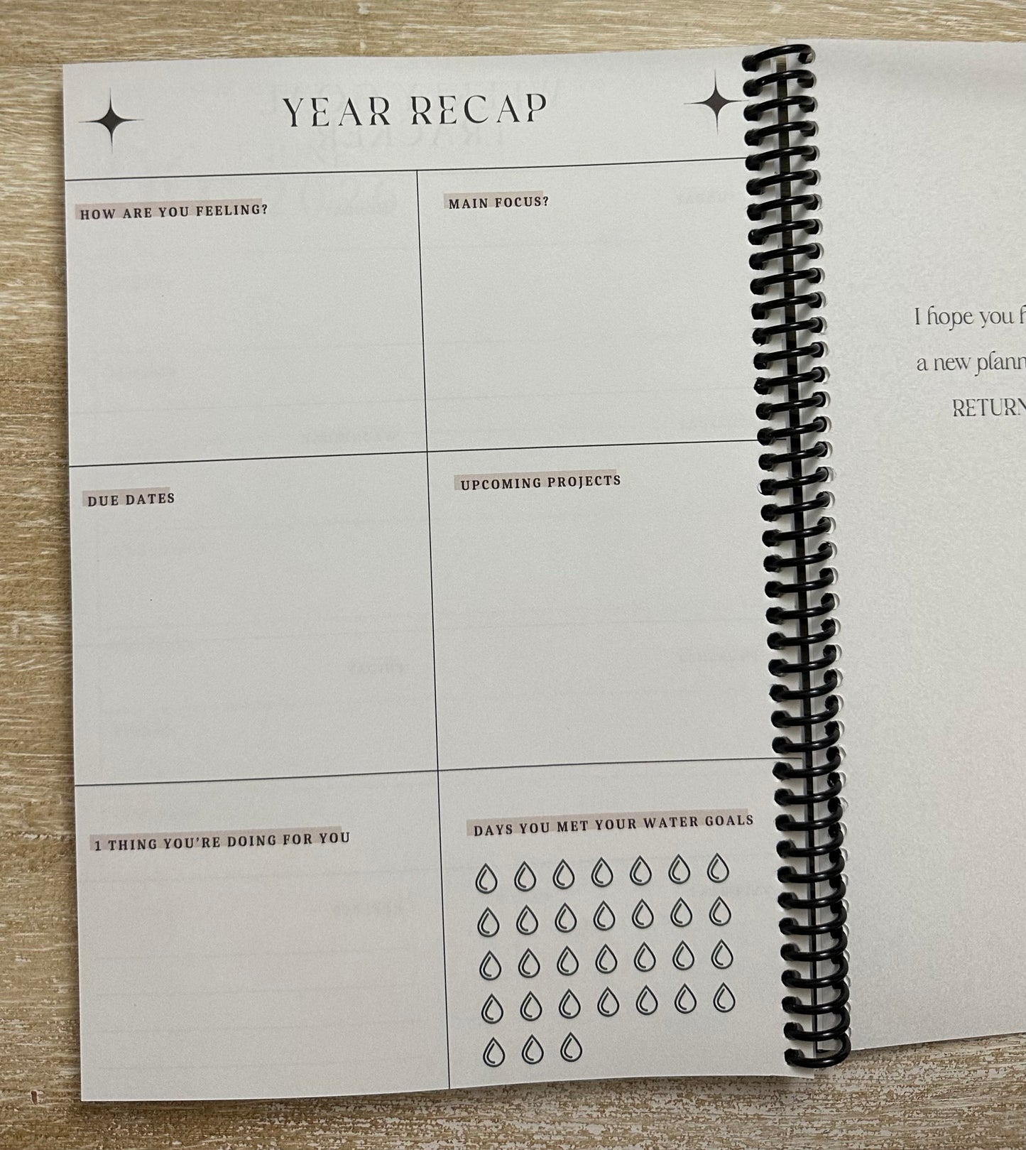 Academic Year Planner Chic Grunge