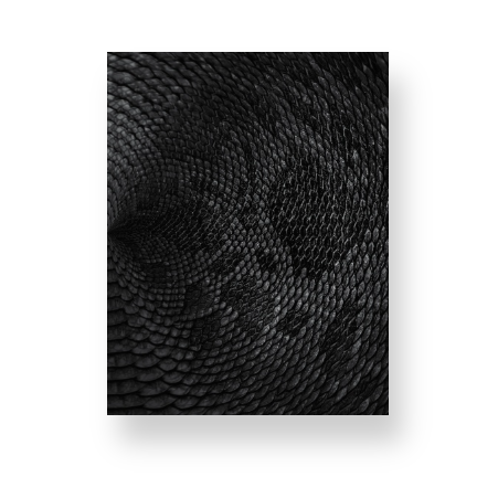 Black & Grey Snake Print Notebook | Bold Texture in Timeless Neutrals