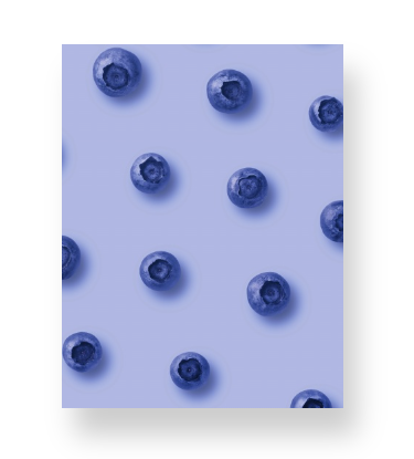 Blueberries on Blue Notebook | Playful, Fruity, & Vibrant Minimalism