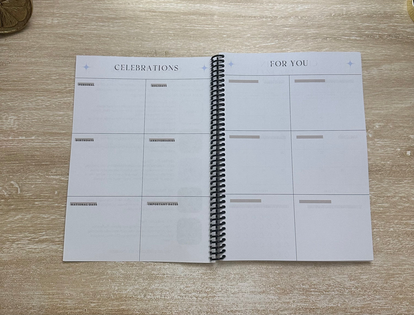 2026 Lifestyle Planner - Blue Marble
