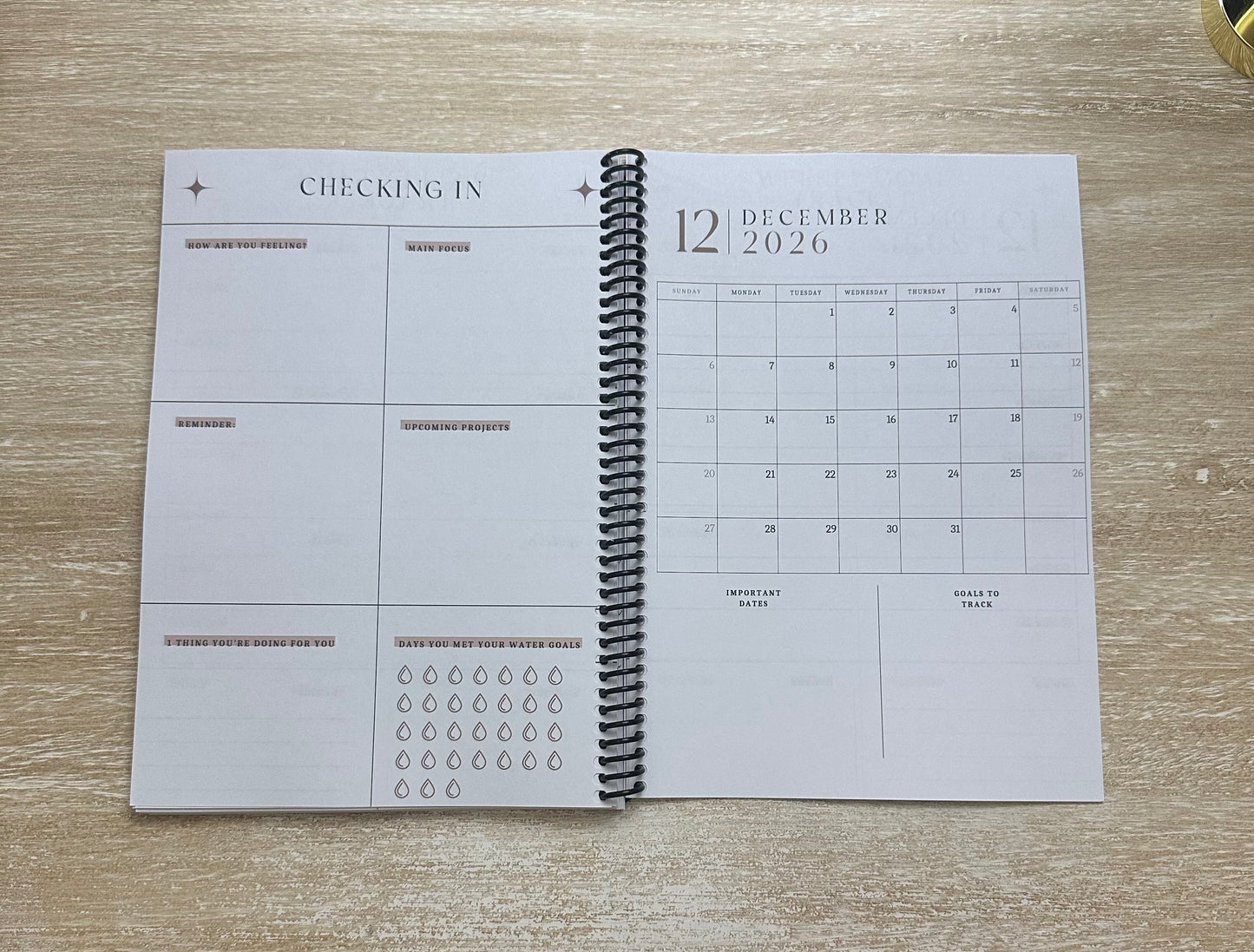 2026 Lifestyle Planner Ember Tortoise