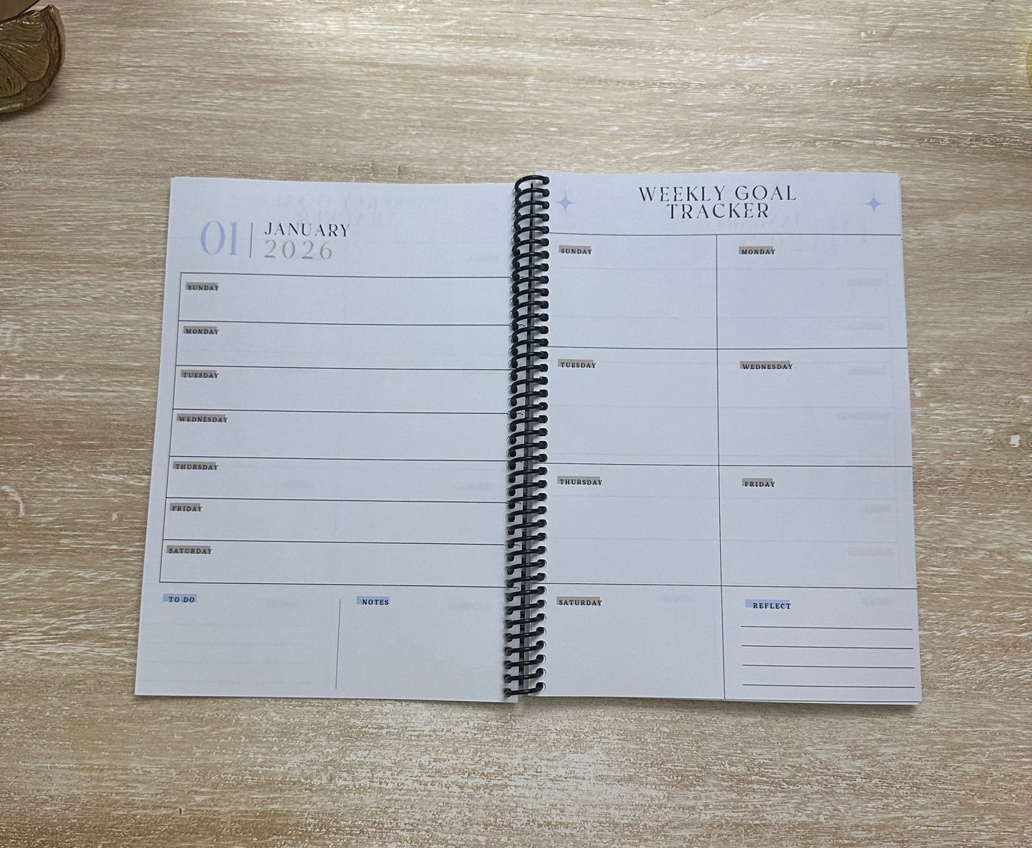 2026 Lifestyle Planner - Blue Marble