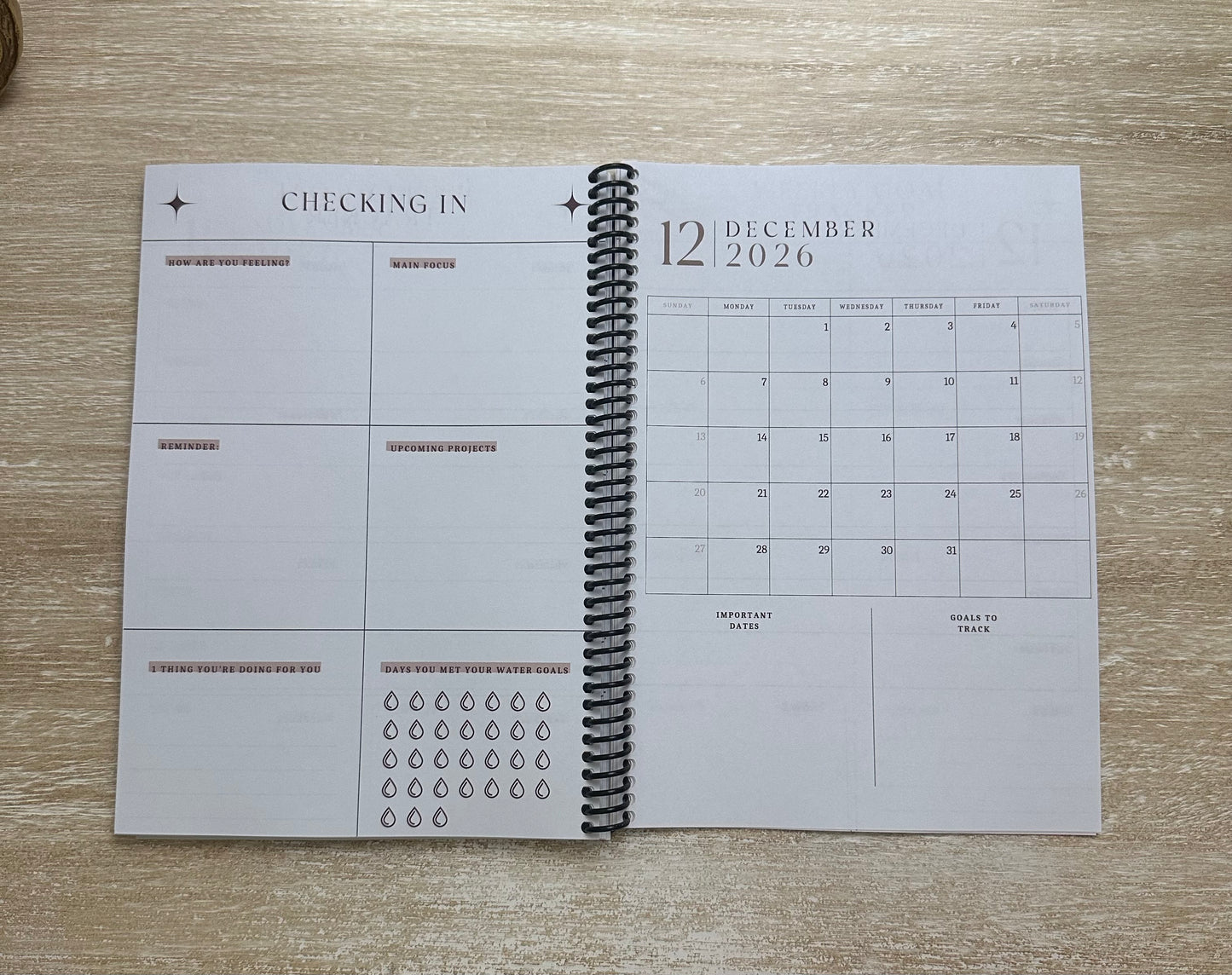 2026 Lifestyle Planner - Signature Velvet Noir Lattice