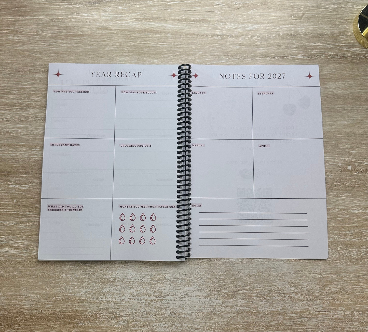 2026 Lifestyle Planner - Signature Pink and Velvet Noir Stripes