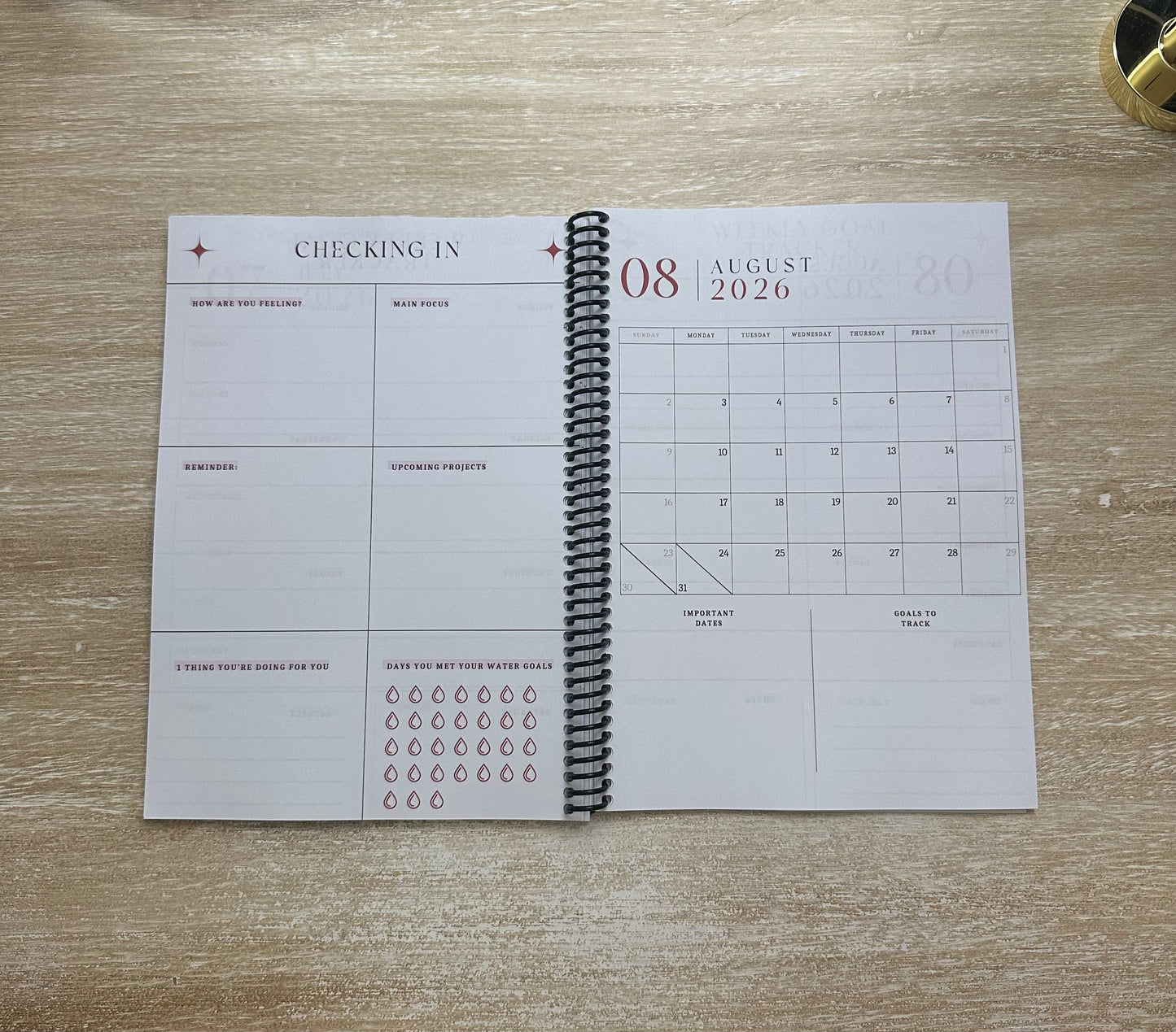 2026 Lifestyle Planner - Signature Pink and Velvet Noir Stripes