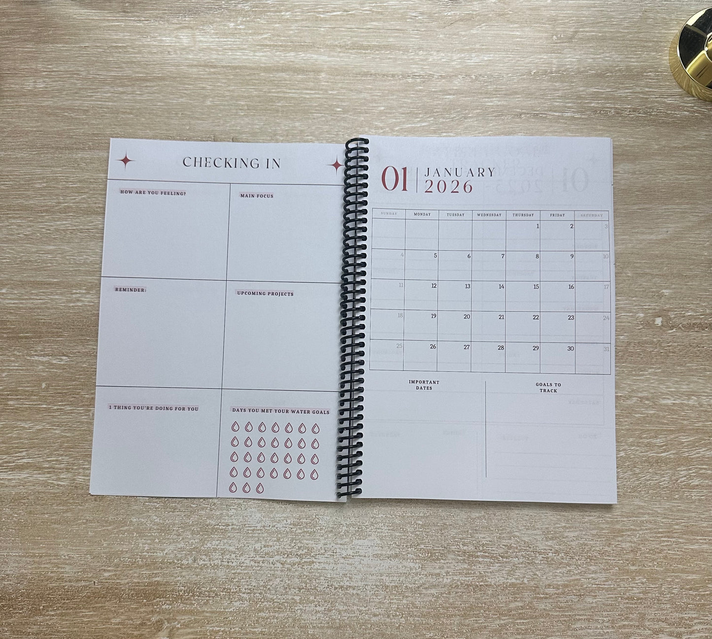 2026 Lifestyle Planner - Signature Pink and Velvet Noir Stripes