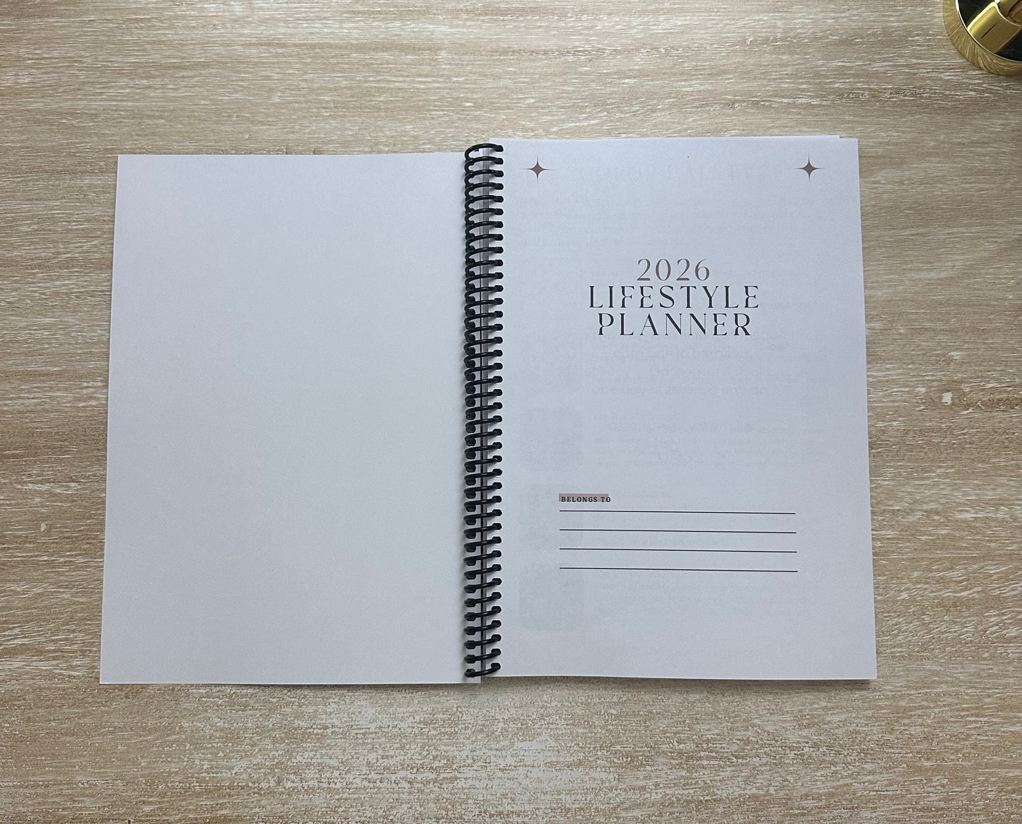 2026 Lifestyle Planner Ember Tortoise