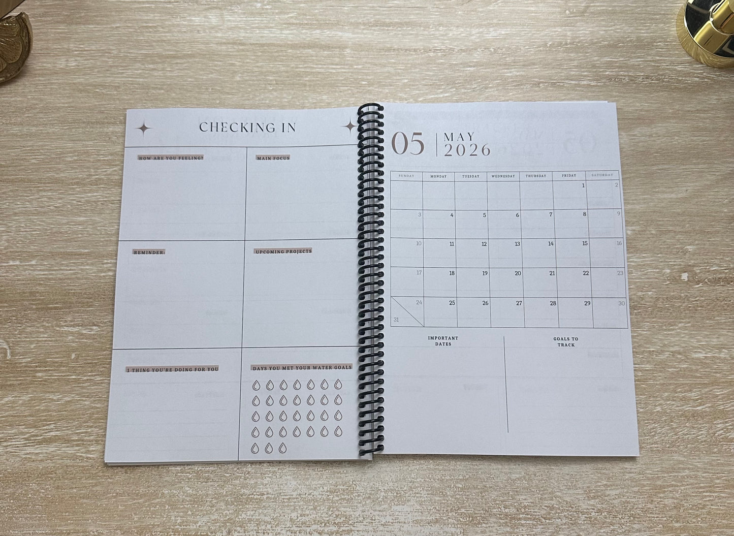 2026 Lifestyle Planner Ember Tortoise