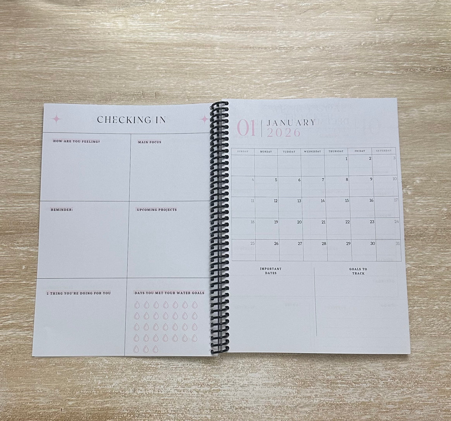 2026 Lifestyle Planner - Grey Snake