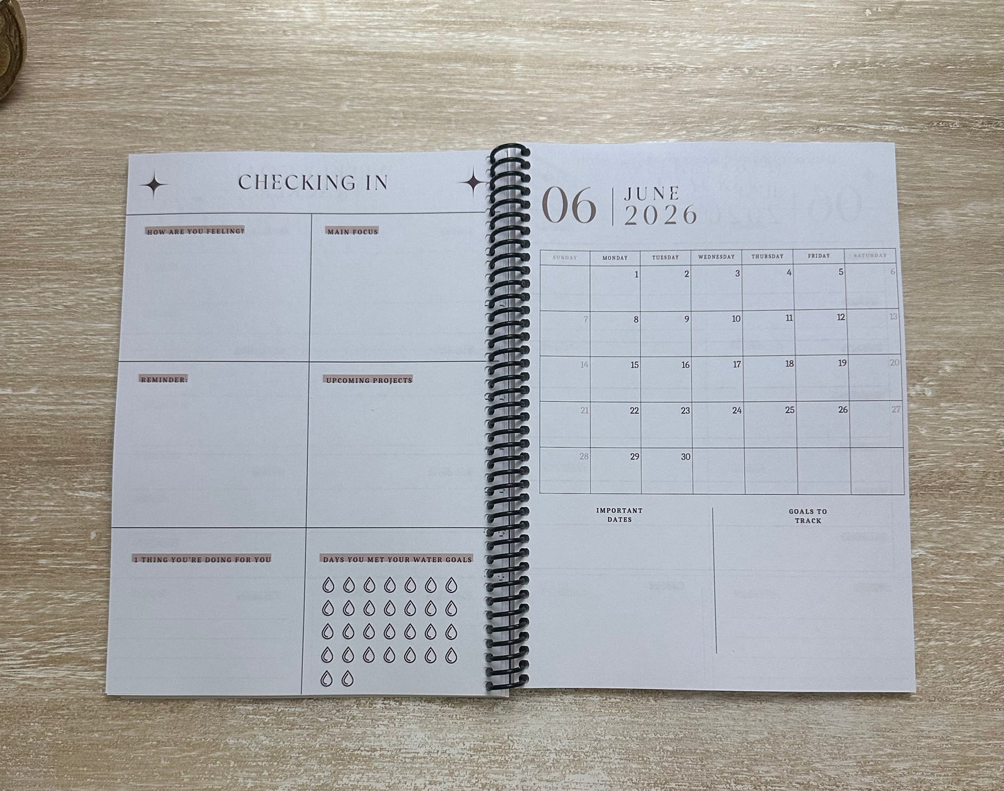 2026 Lifestyle Planner - Signature Velvet Noir Lattice