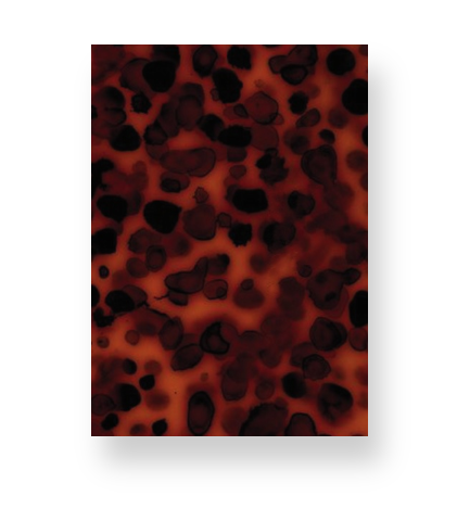 Ember Tortoise Print Notebook