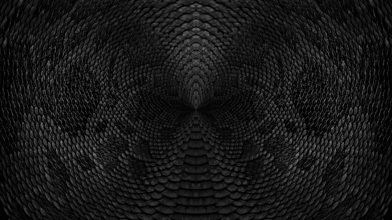 Rich hues of black and grey create the kierst Black and Grey Snake print. For bold or subtle, depending on how you pair it.