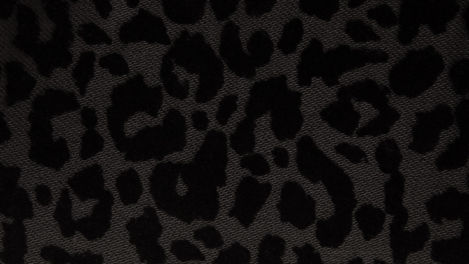 Black Leopard
