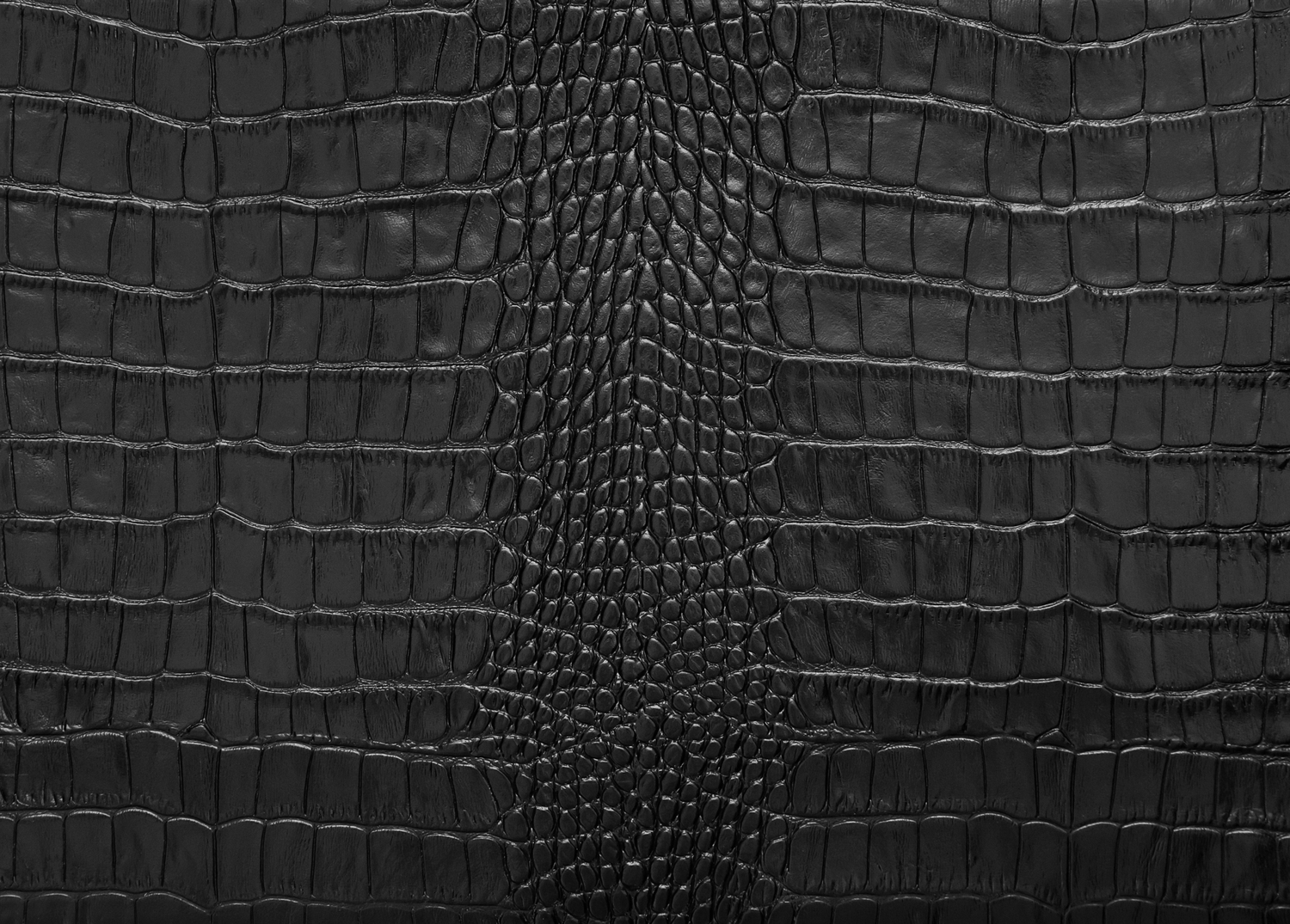 Black Crocodile