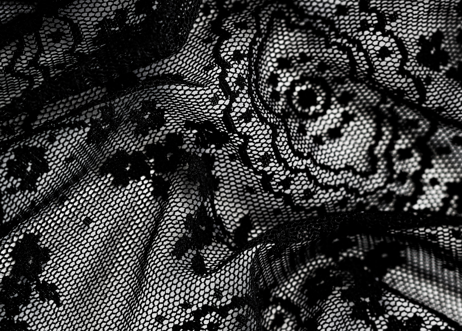 Black + White Lace