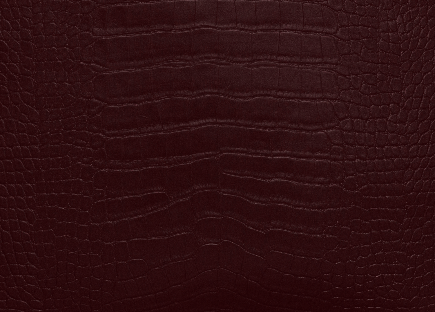 Signature Velvet Noir Crocodile