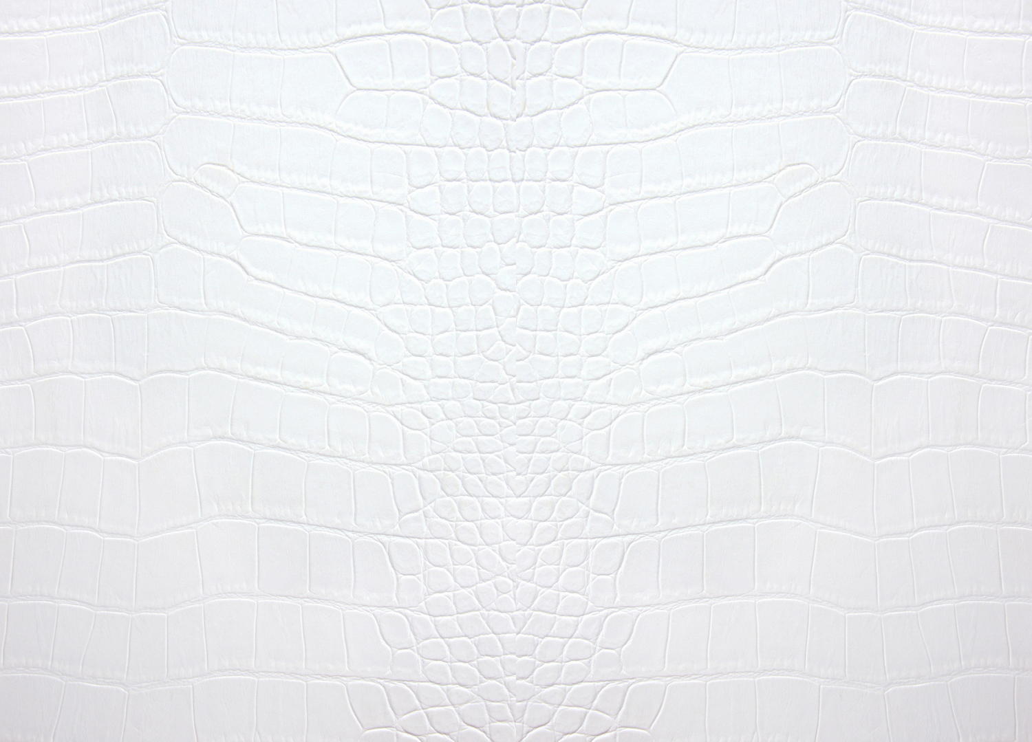 White Alligator