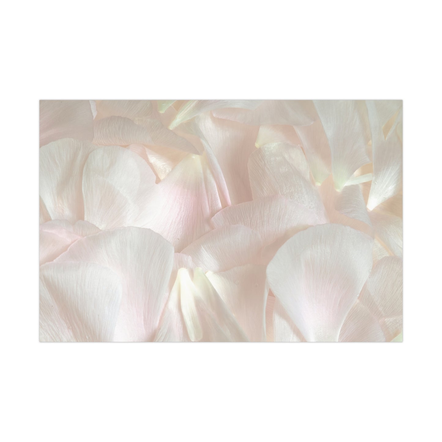 Iridescent Flower Petals Gift Wrapping Paper