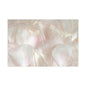 Iridescent Flower Petals Gift Wrapping Paper