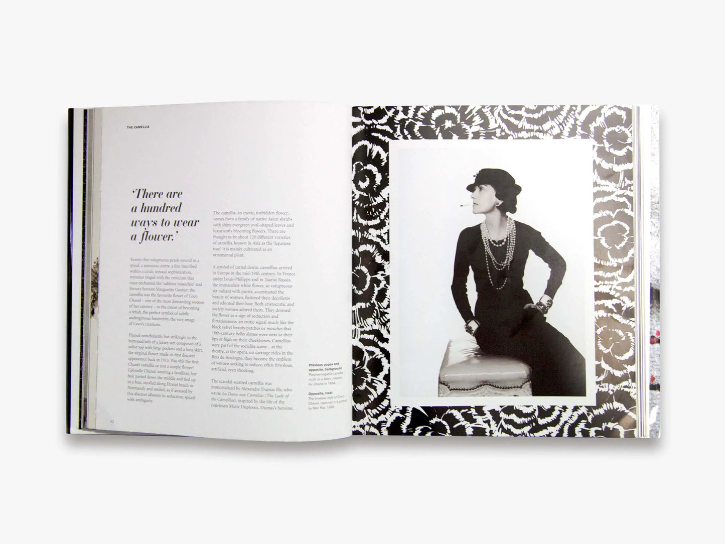 Chanel and Her World Book