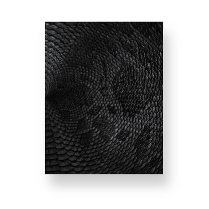 Black + Grey Snake Print Notebook