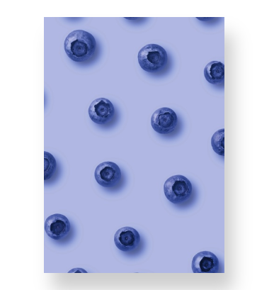 Blueberries on Blue Notebook