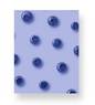 Blueberries on Blue Notebook