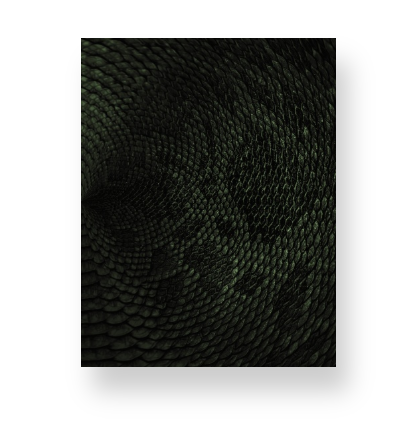 Deep Rich Green Snake Print Notebook
