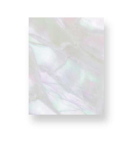 Pearl Essence Notebook